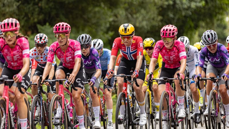 Le peloton du Tour de France feminin lors de la 2e etape le 27 juillet 2025 2116706