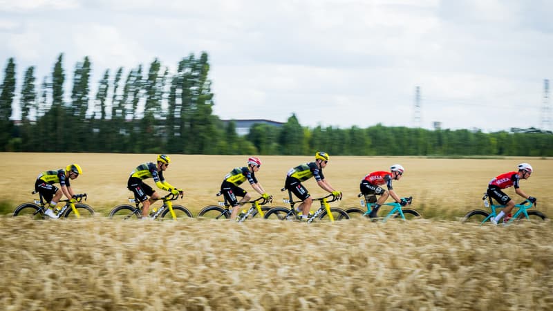 Le peloton lors de la 3e etape du Tour de France le 7 juillet 2025 2108302