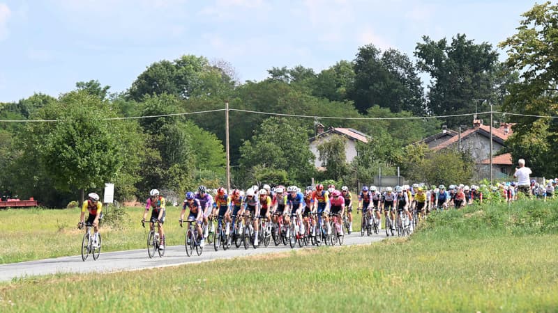Le peloton de la Vuelta lors de la 3e etape le 25 aout 2025 2127151