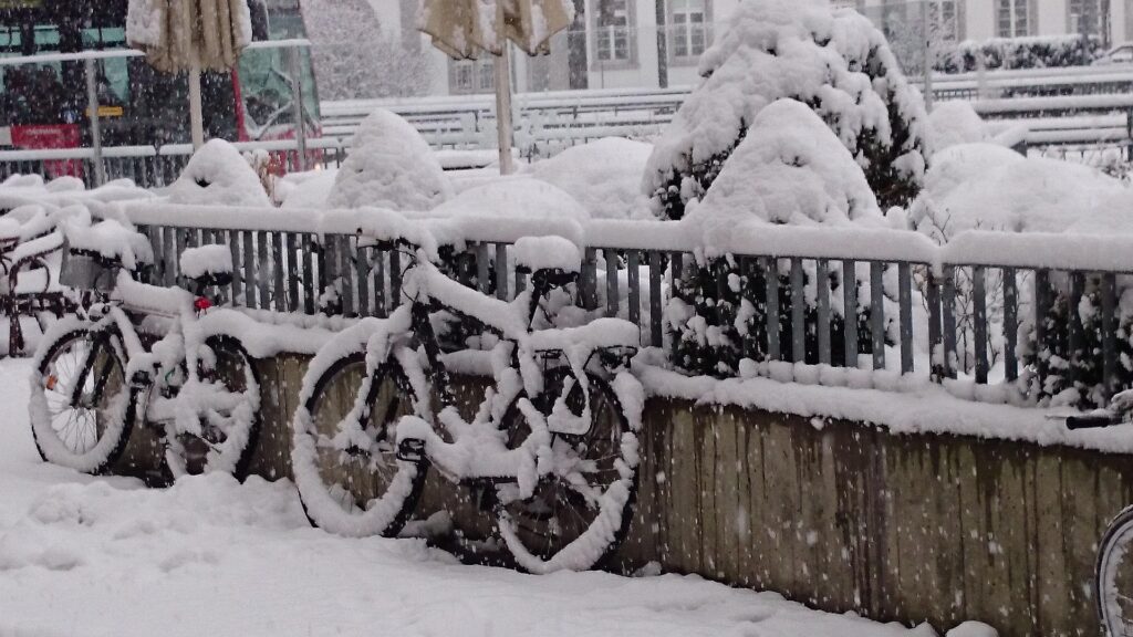 Et si pour Noël, vous offriez un vélo cargo électrique 2 places à votre famille ?