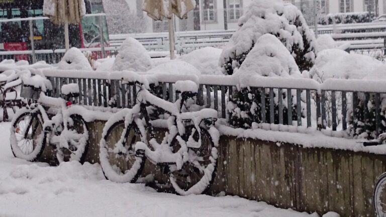 Et si pour Noël, vous offriez un vélo cargo électrique 2 places à votre famille ?