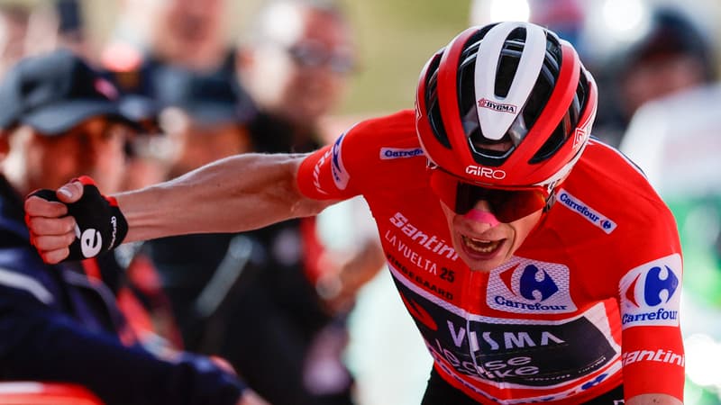 Jonas VINGEGAARD 2202995