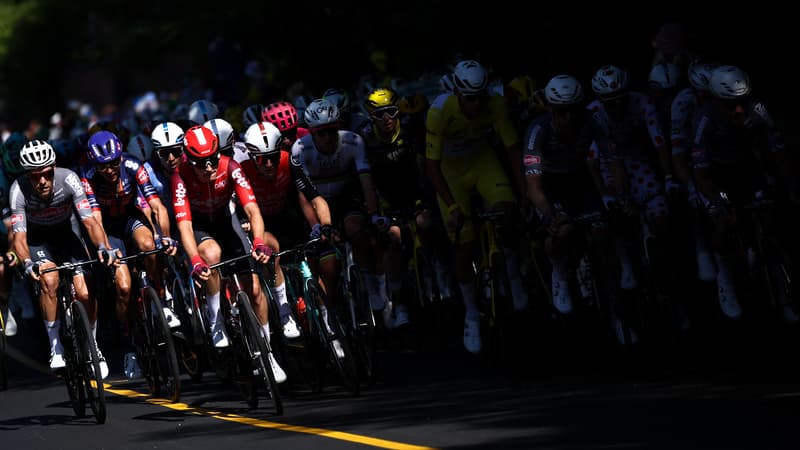 Le peloton du Tour de France lors de la 4e etape le 8 juillet 2025 2109617