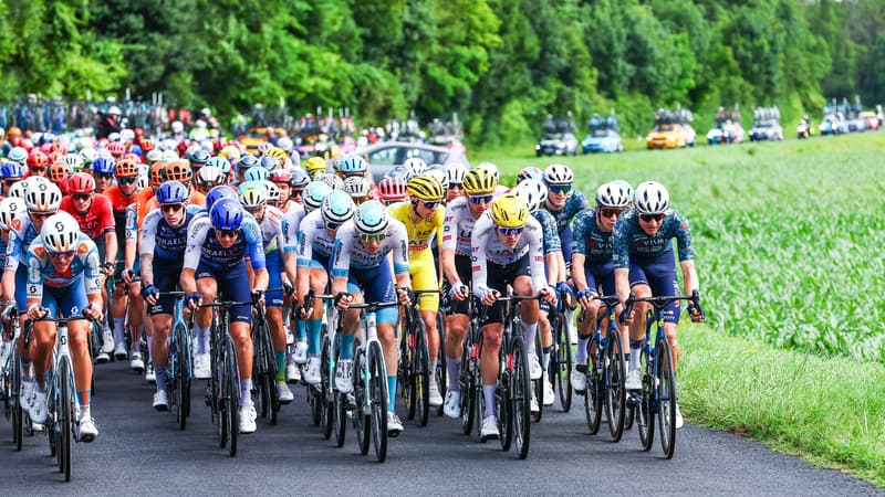 Le peloton lors du Tour de France 2024 2205703